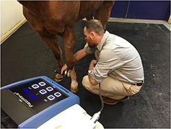 Extracorporeal Shockwave Therapy